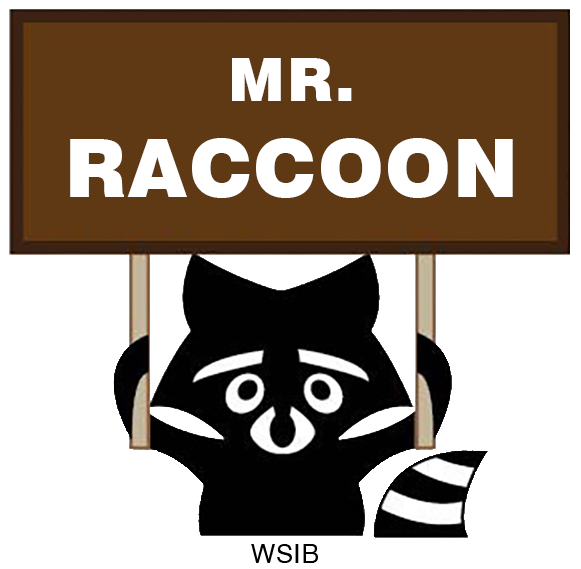 Logo of Mr.Raccoon