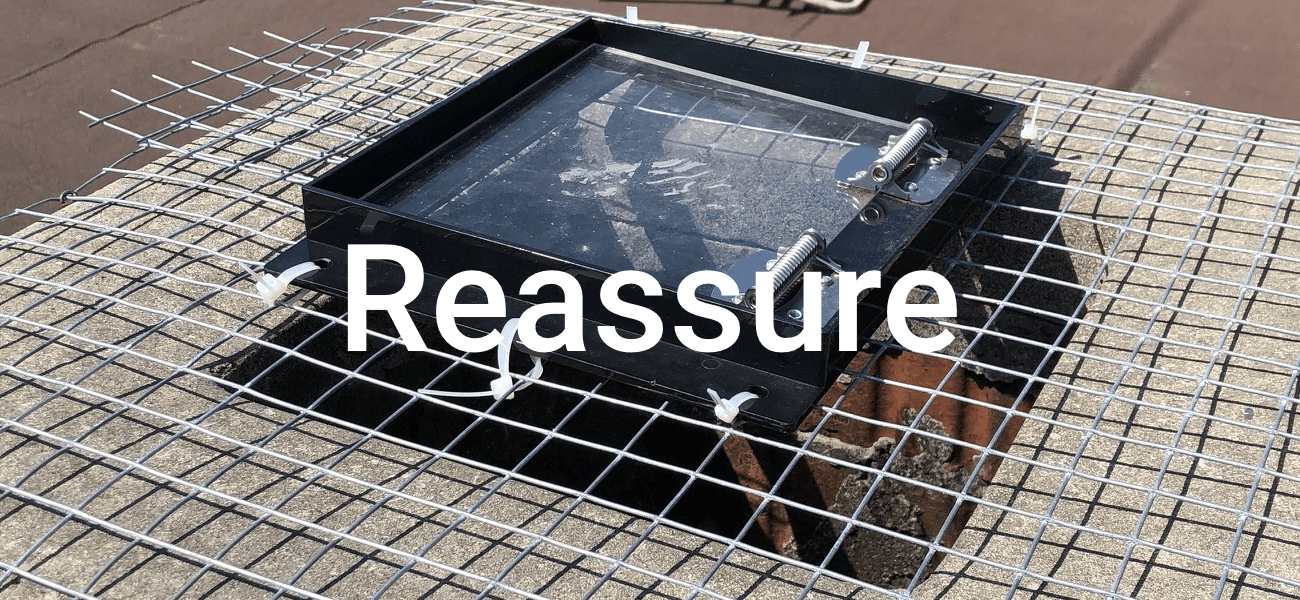 reassure wildlife removal
