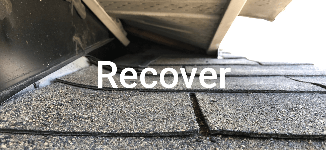 recover the damage after wildlife removal