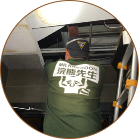Repair Structural Damage and Re-wiring