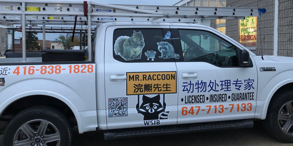 blog mr raccoon working truck