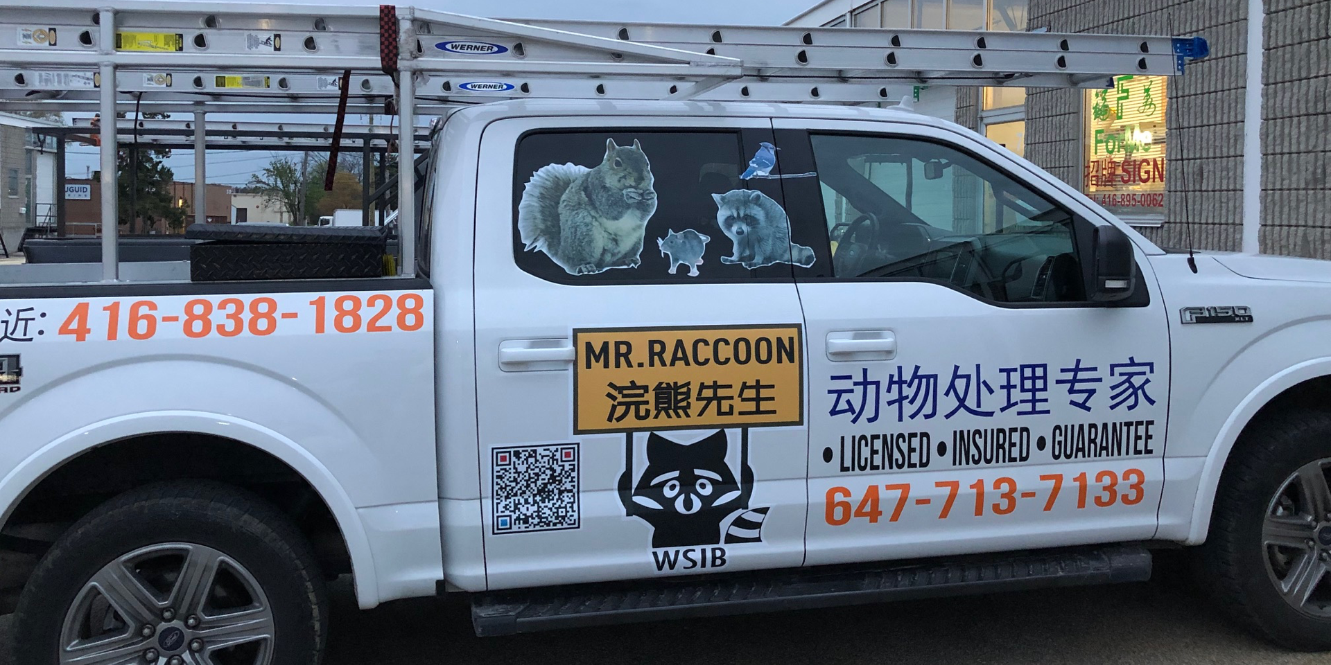 blog mr raccoon working truck