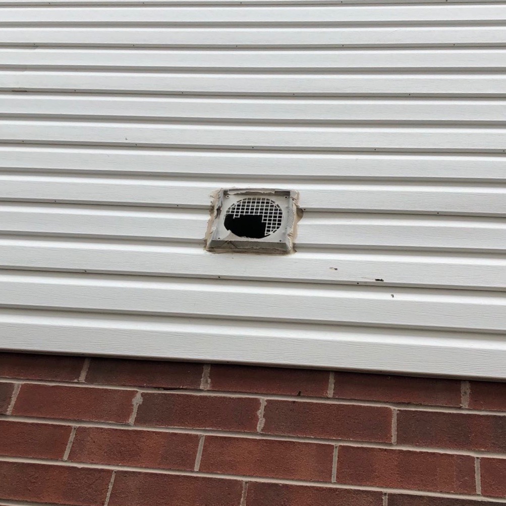 wall repair
